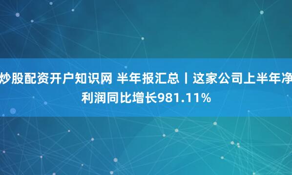 炒股配资开户知识网 半年报汇总丨这家公司上半年净利润同比增长981.11%